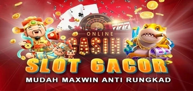 Rafi777 Maxwin
